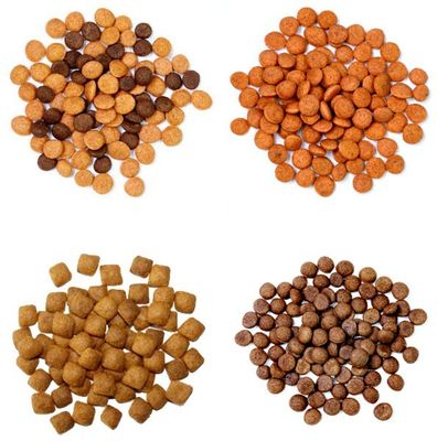 건식 성형 키블 자동 압출기 개 사료 제조 기계 라인